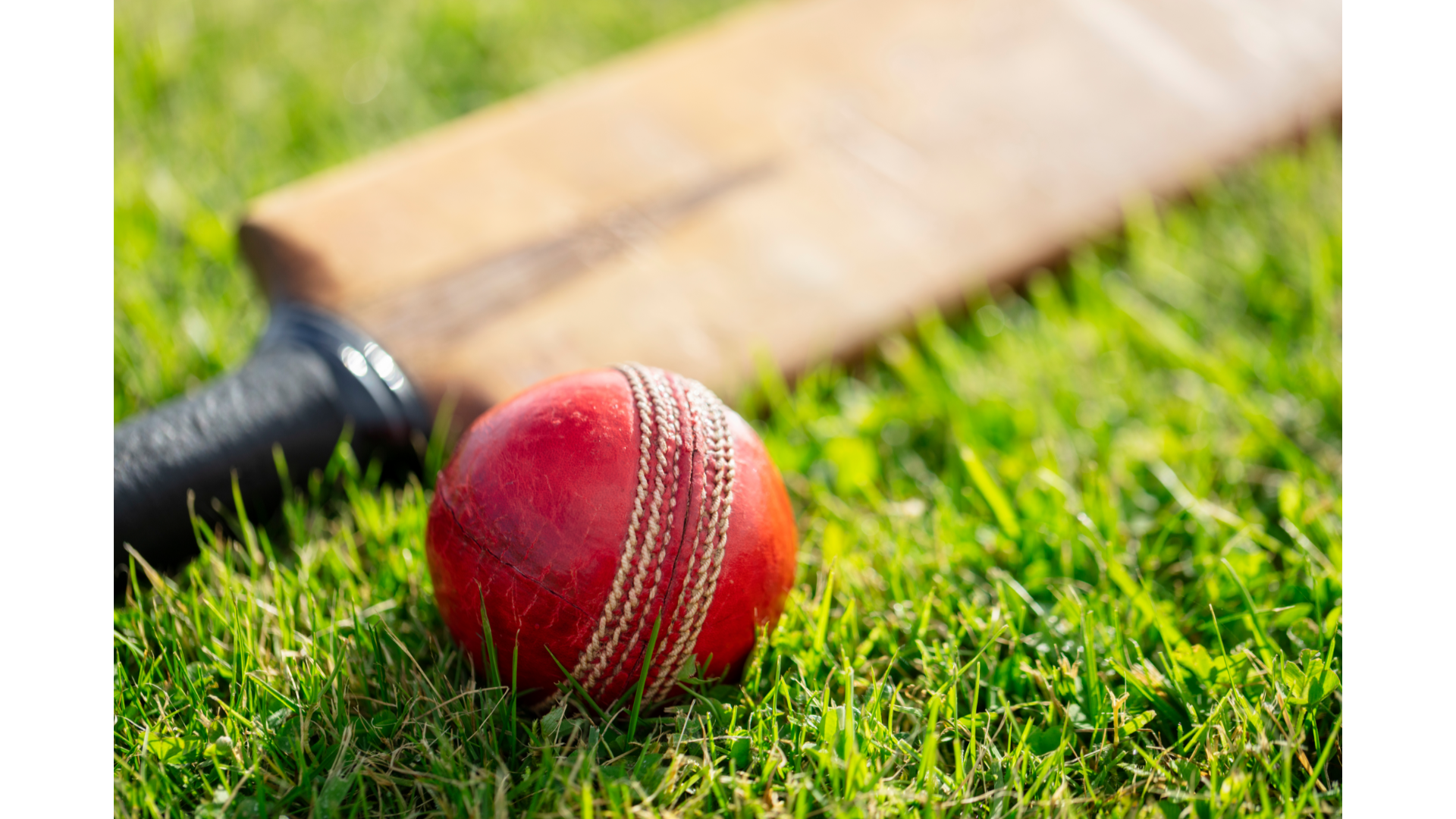 Ropley Cricket Club’s Women and Girls Cricket Event